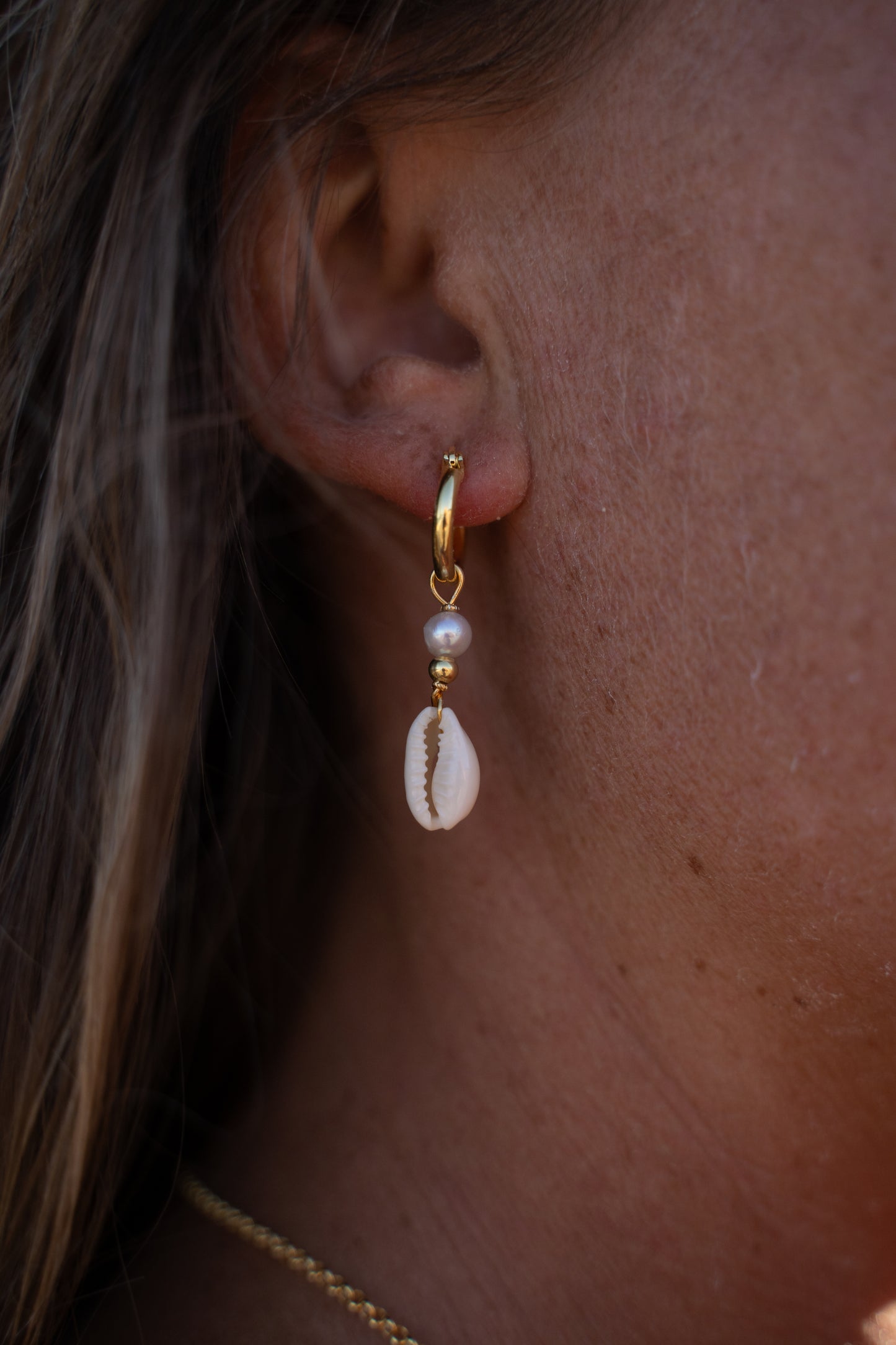 Ningaloo Treasures