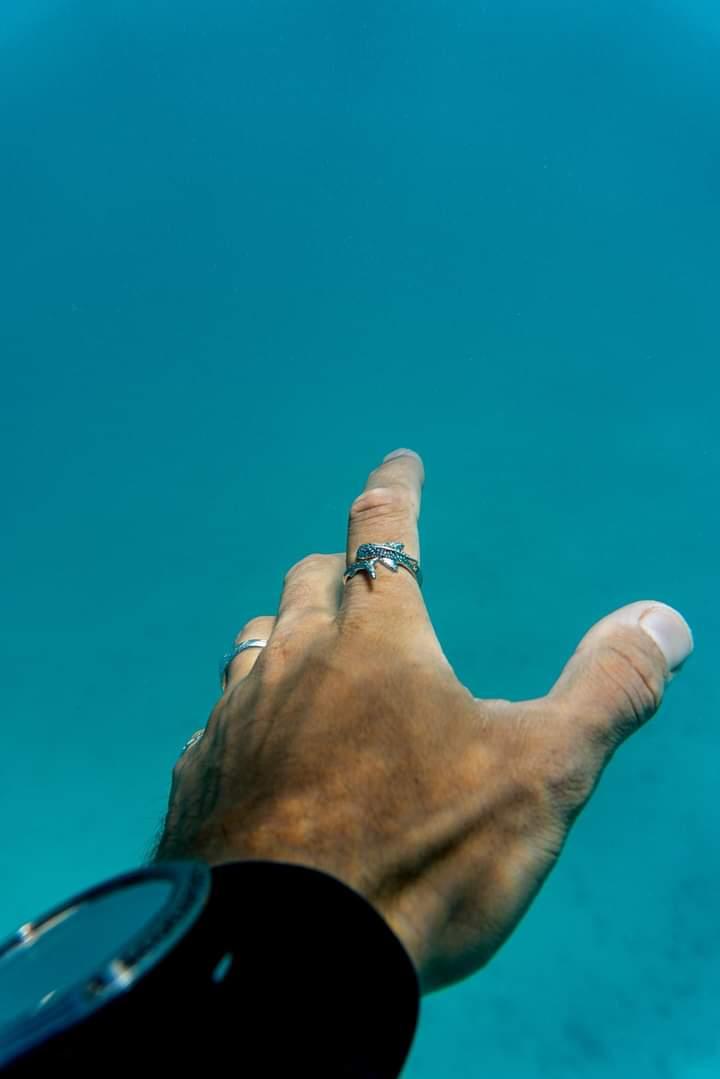 Ningaloo Whaleshark Ring Sterling Silver