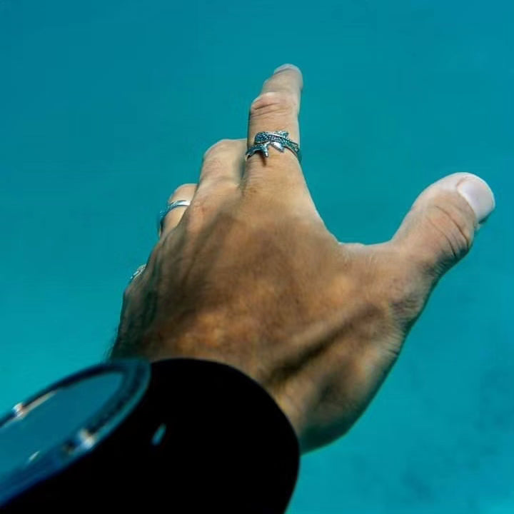 Ningaloo Whaleshark Ring Sterling Silver