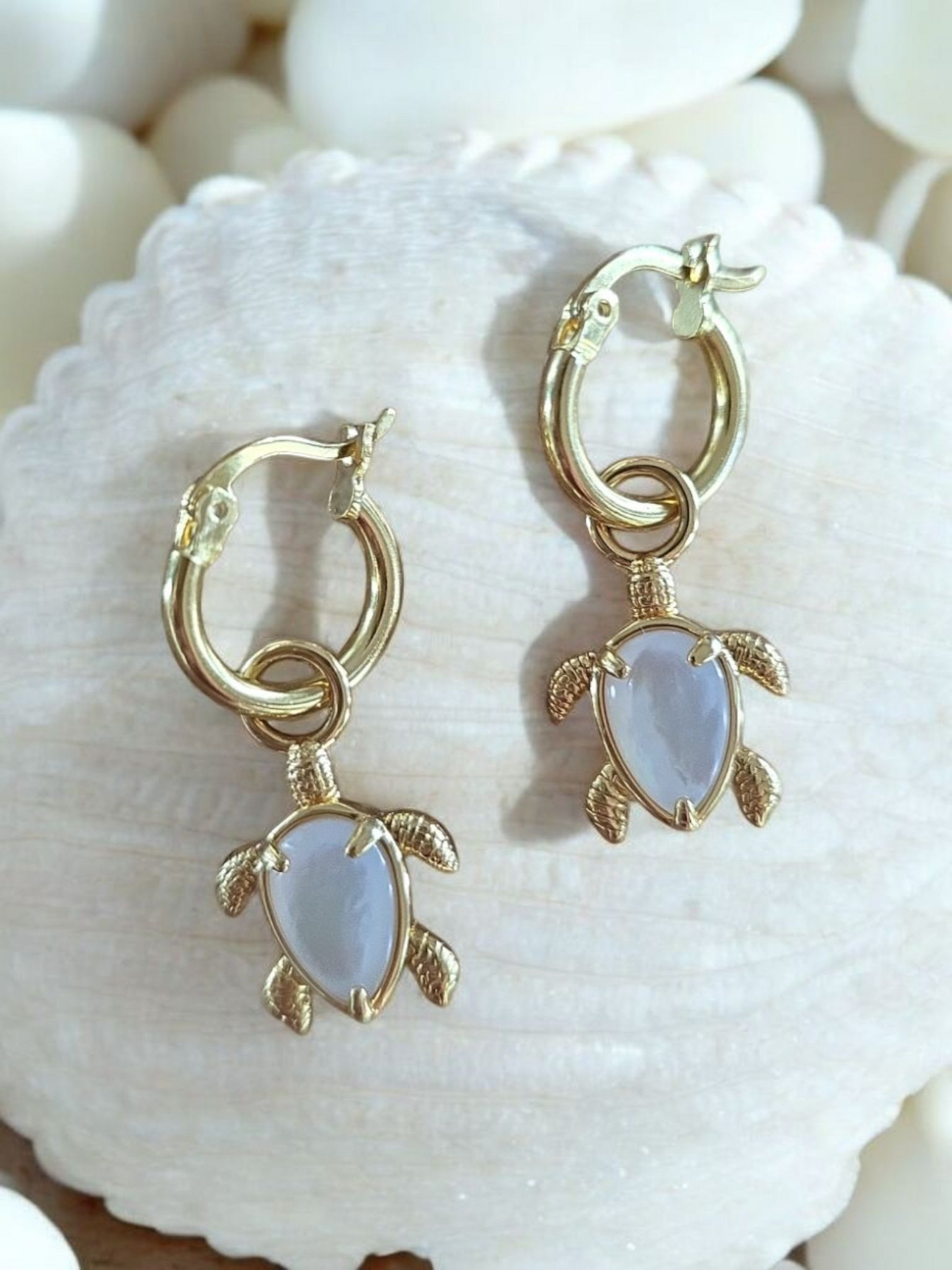 Ningaloo Gold Turtle Earrings