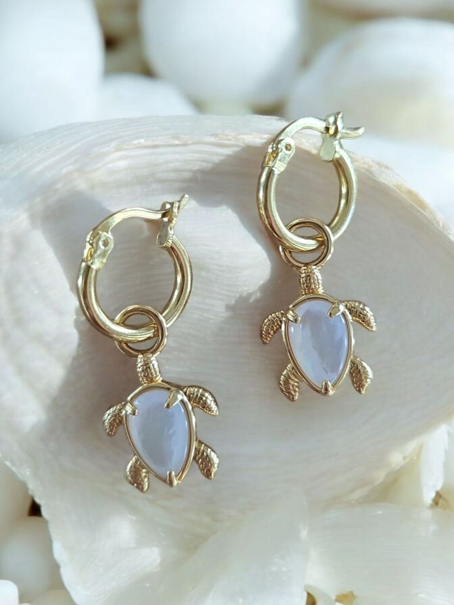 Ningaloo Gold Turtle Earrings