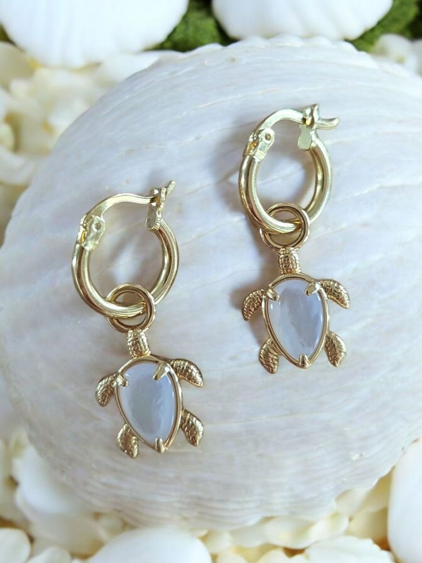 Ningaloo Gold Turtle Earrings