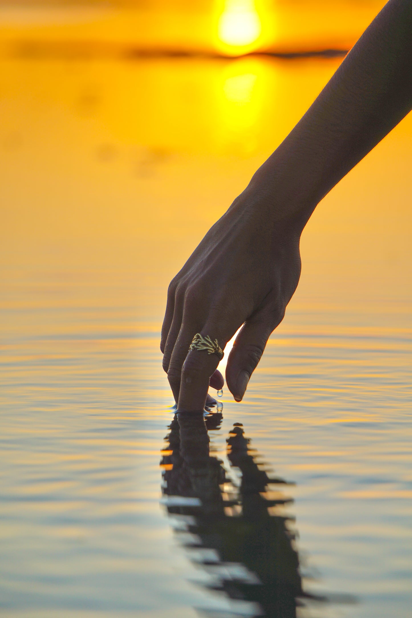 Coral Bay Dreaming Gold Ring