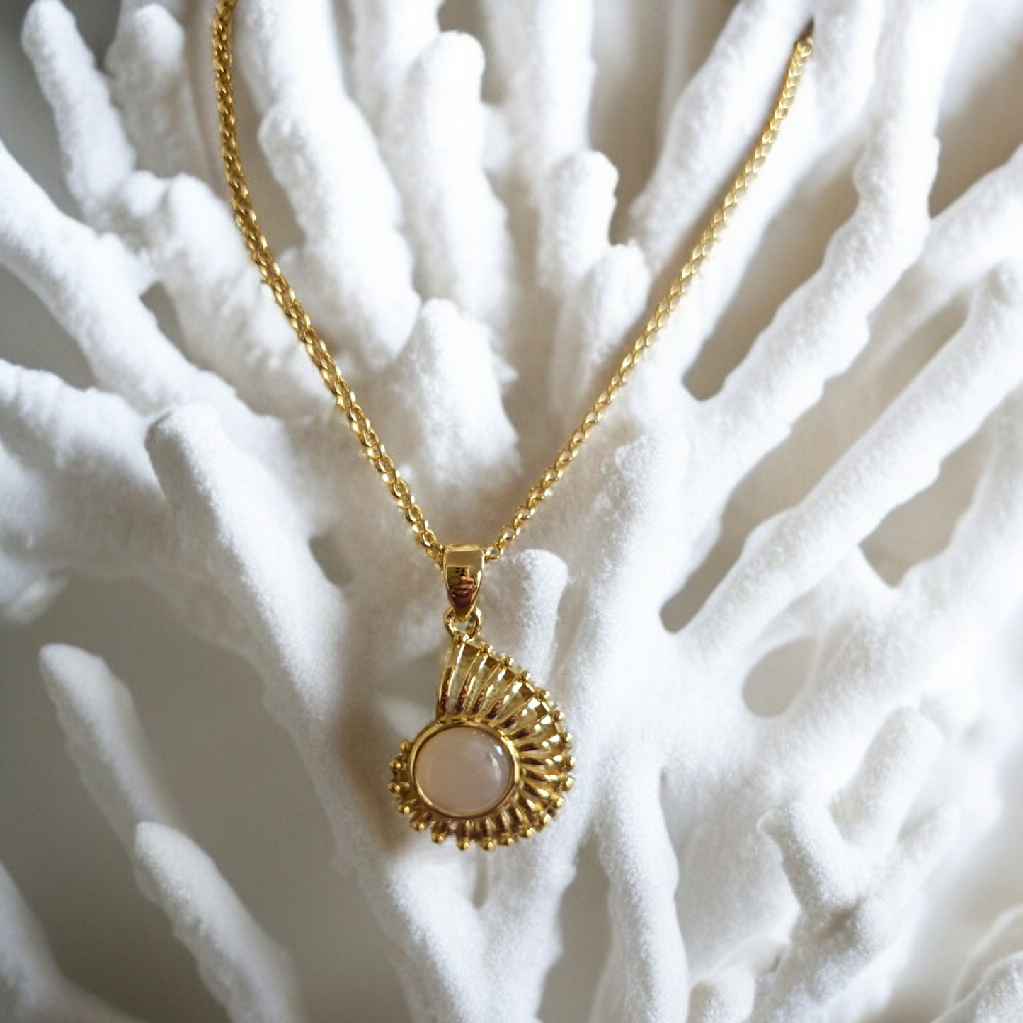 Nautilus Golden Treasures Necklace