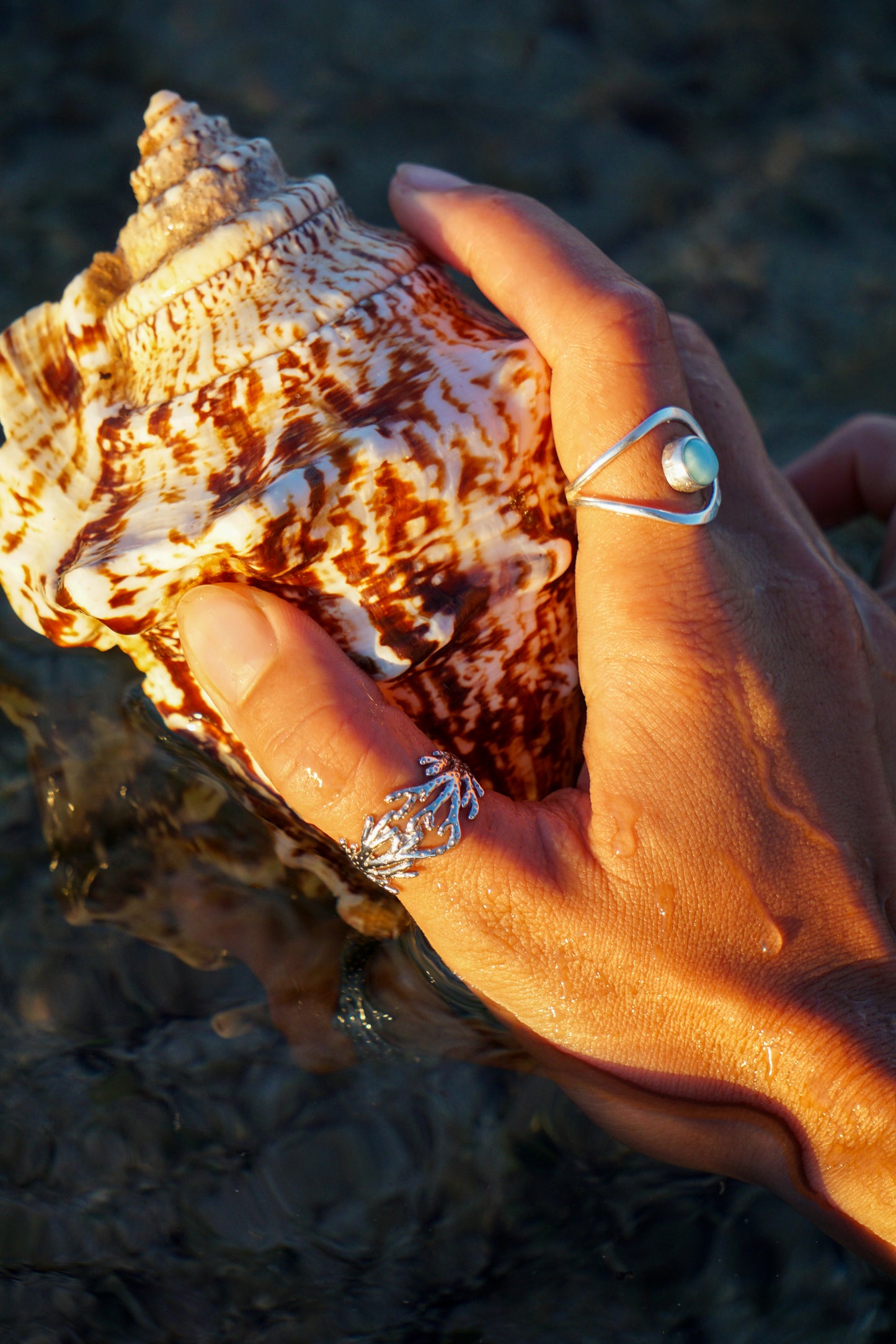 Coral Bay Dreaming Silver Ring