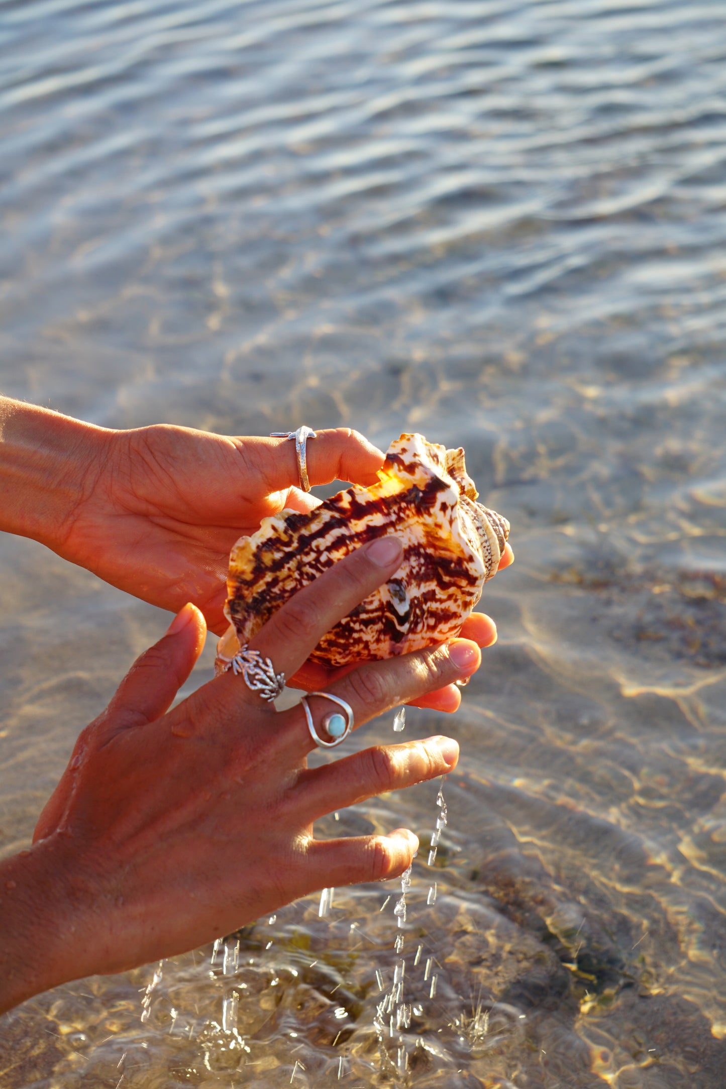 Coral Bay Dreaming Silver Ring