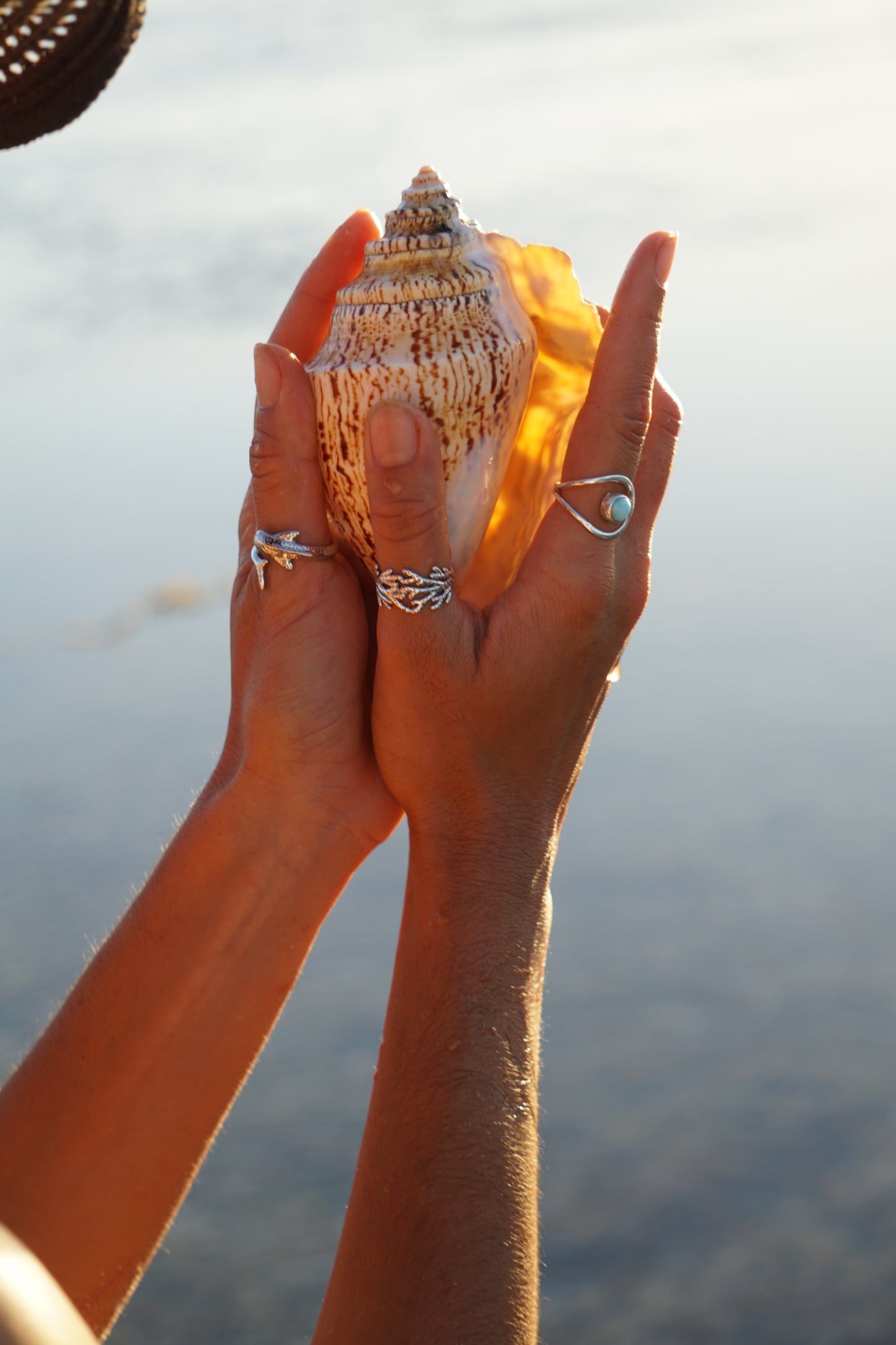 Coral Bay Dreaming Silver Ring