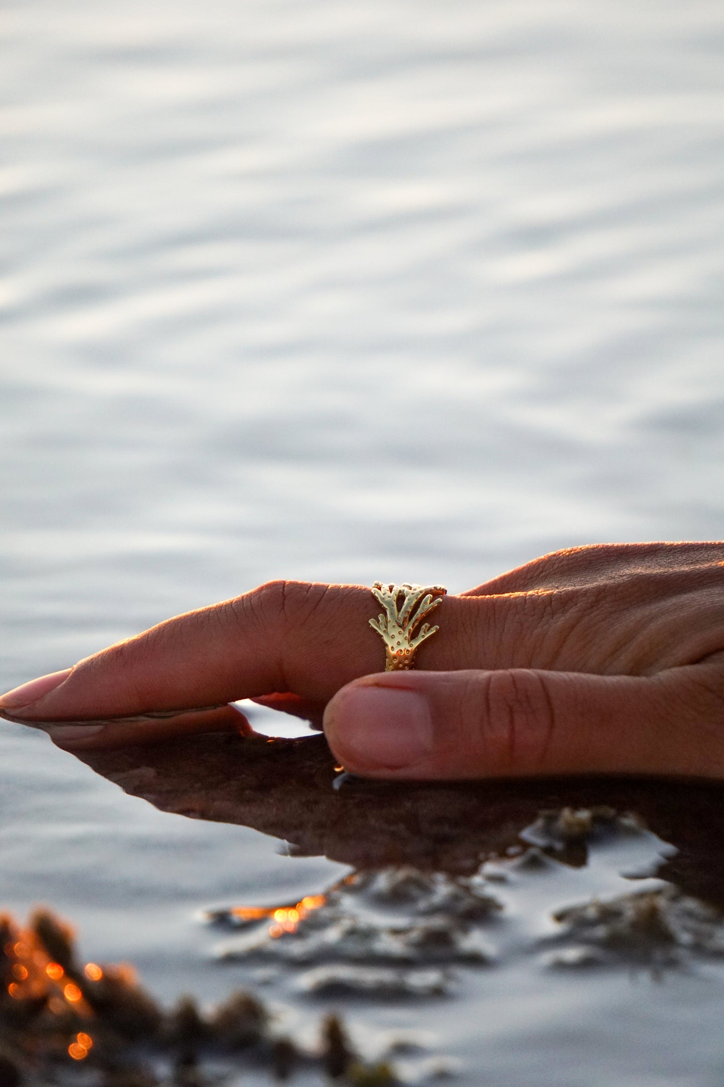 Coral Bay Dreaming Gold Ring