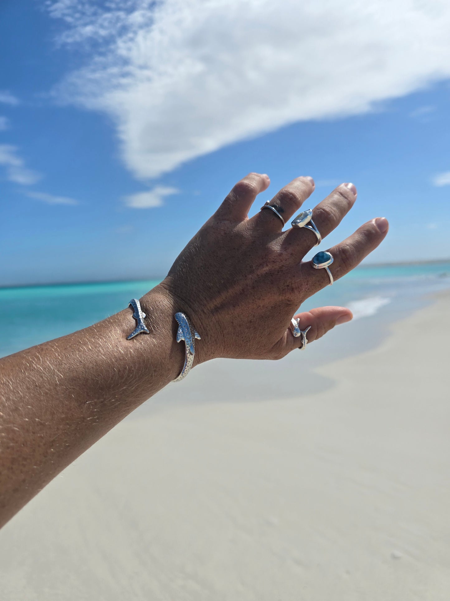 Whale shark Bangle