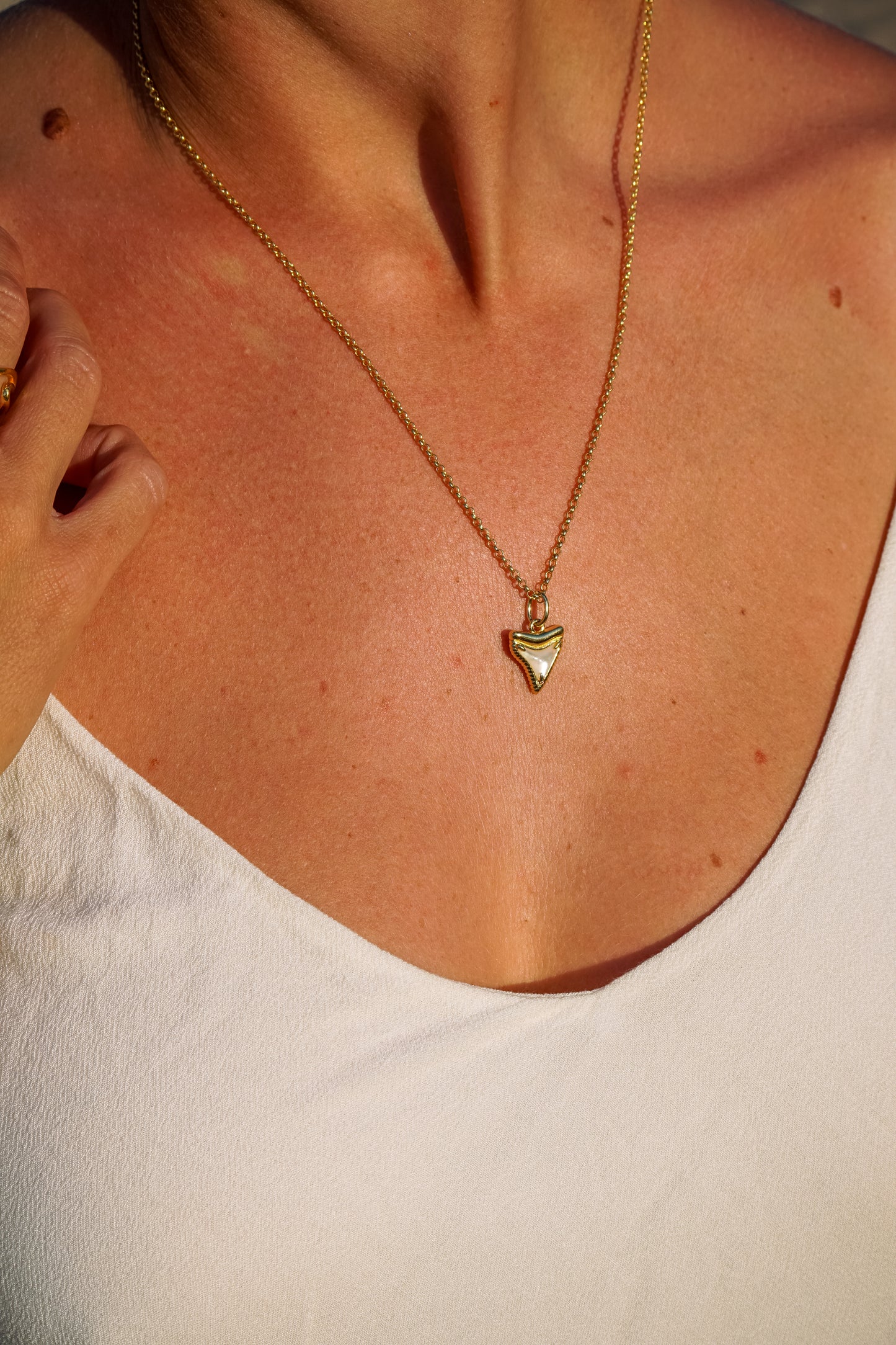 Ningaloo Shark Tooth Necklace Gold Vermeil