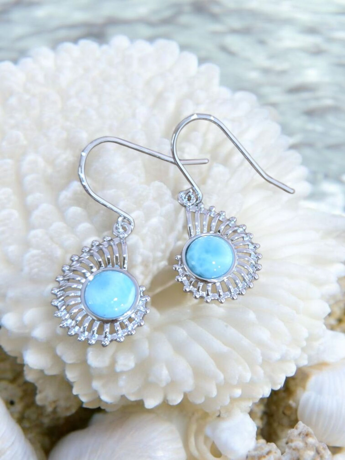 Nautilus of the Sea Blue Earrings