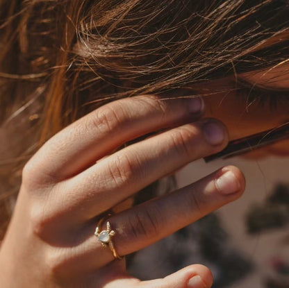 Dunes Turtle Gold Vermeil Ring