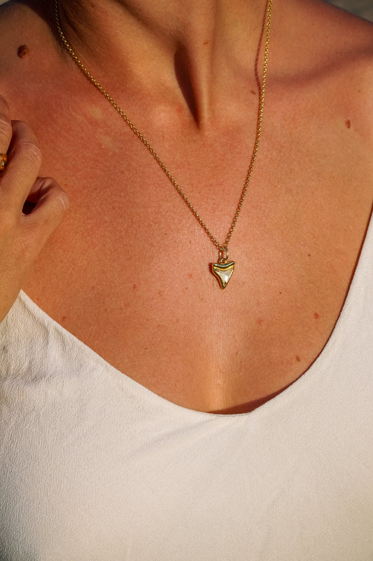 Ningaloo Shark Tooth Necklace Gold Vermeil