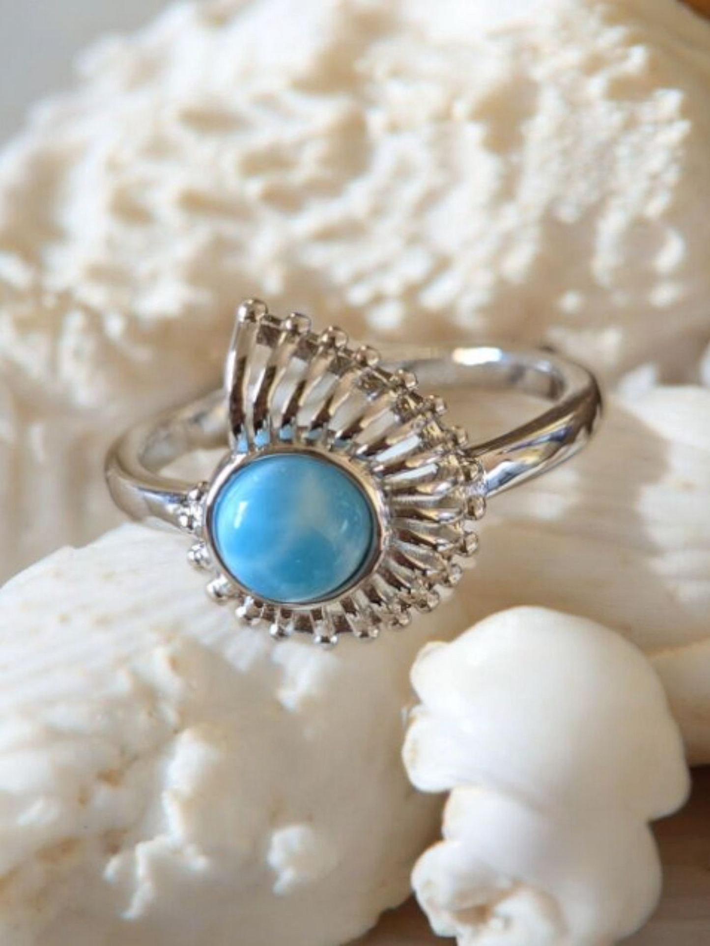 Nautilus Blues of the Sea Ring