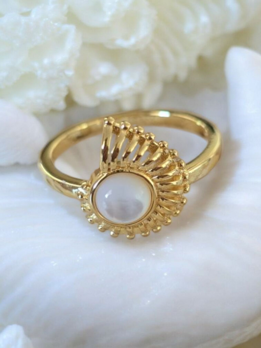 Nautilus of the Sea Ring