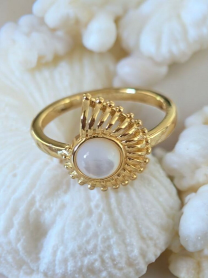 Nautilus of the Sea Ring