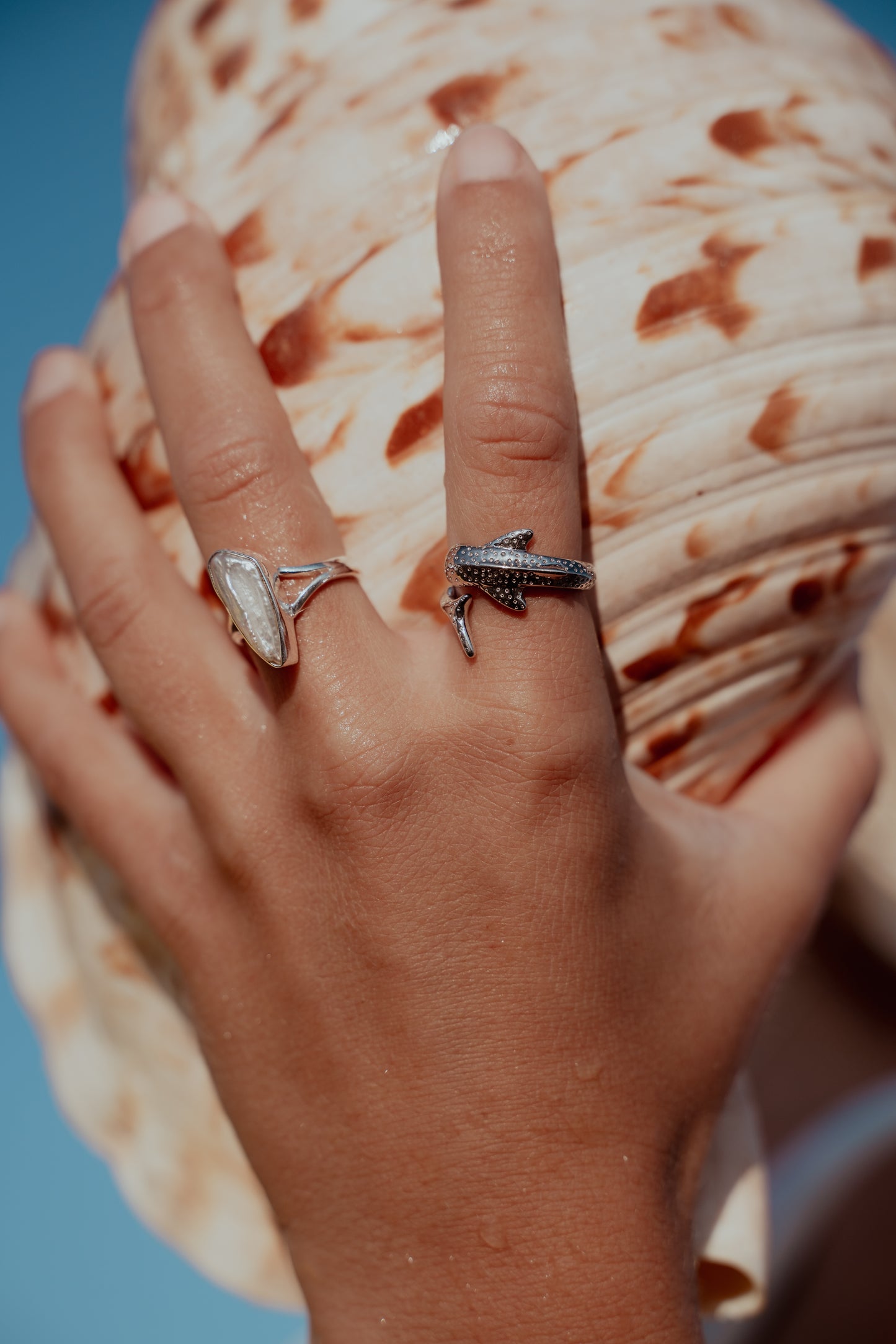 Ningaloo Whaleshark Ring Sterling Silver