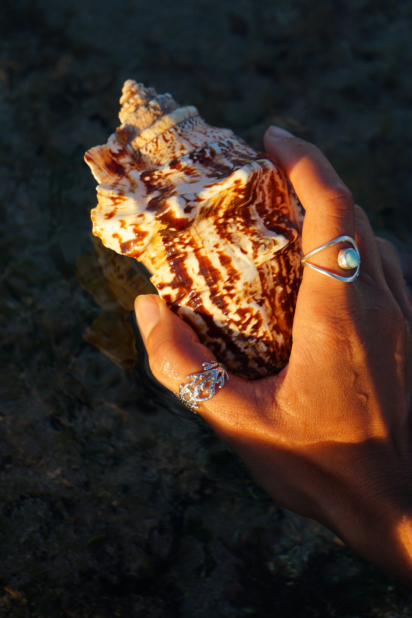 Blue Crush Larimar ring