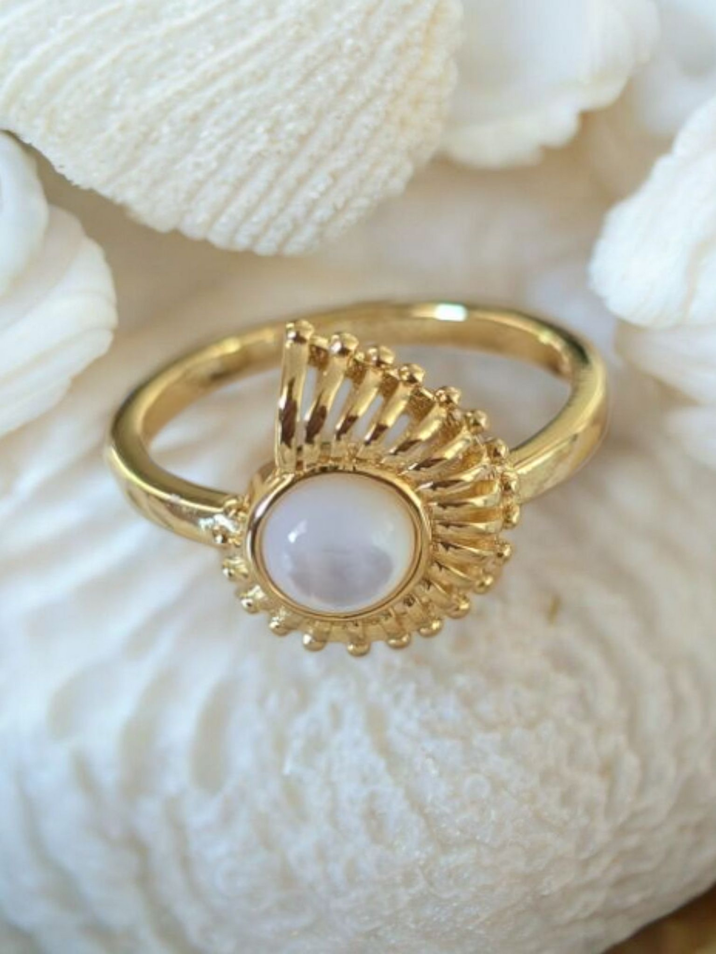 Nautilus of the Sea Ring