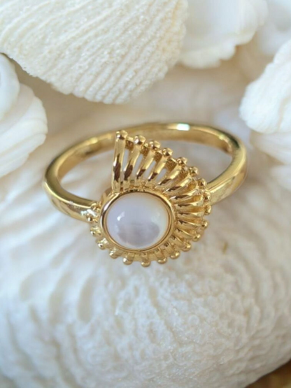 Nautilus of the Sea Ring